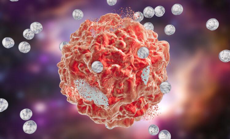 Nanoparticelle a caccia di cellule tumorali